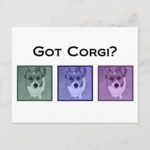 Heb je Corgi? Foto van Funny Corgis Briefkaart