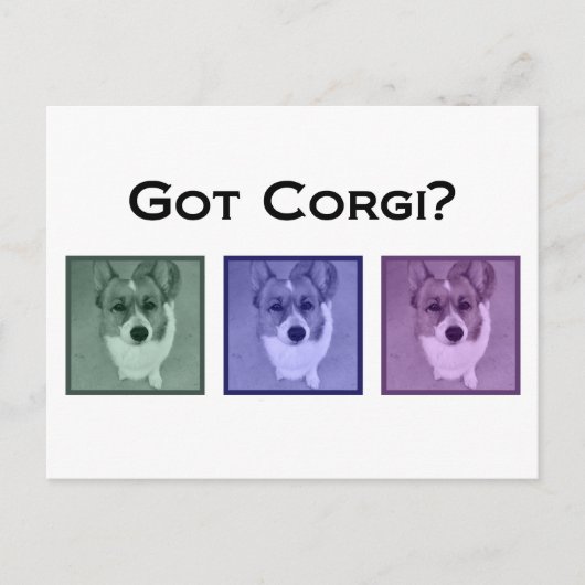 Heb je Corgi? Foto van Funny Corgis Briefkaart (Voorkant)