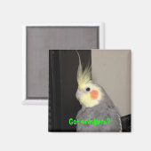 Heb je crackers? magneet (Voorkant / Achterkant)