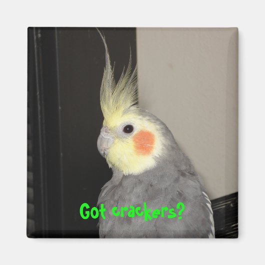 Heb je crackers? magneet (Voorkant)