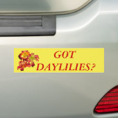 Heb je Daylilies? Bumpersticker (Op auto)