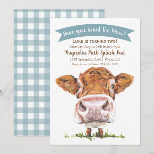 Heb je de uitnodiging van de Moos-Koe van afgelope