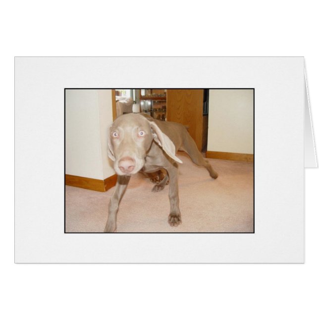 Heb je Decaf? (Voorkant Horizontaal)