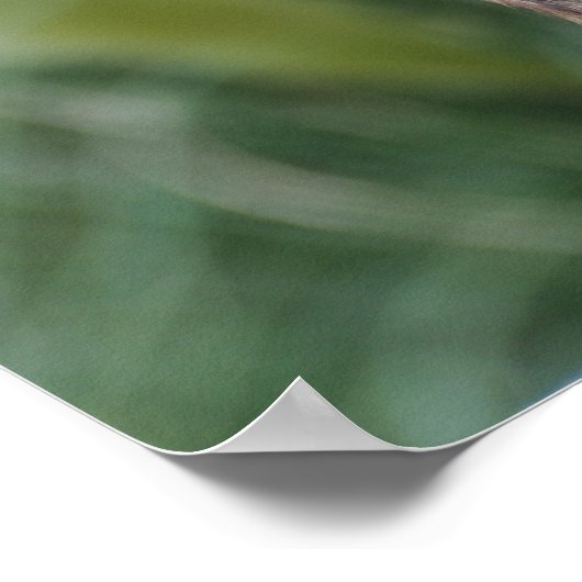 HEB JE EEN BENOEMING? - poster/afdruk Poster (Hoek)