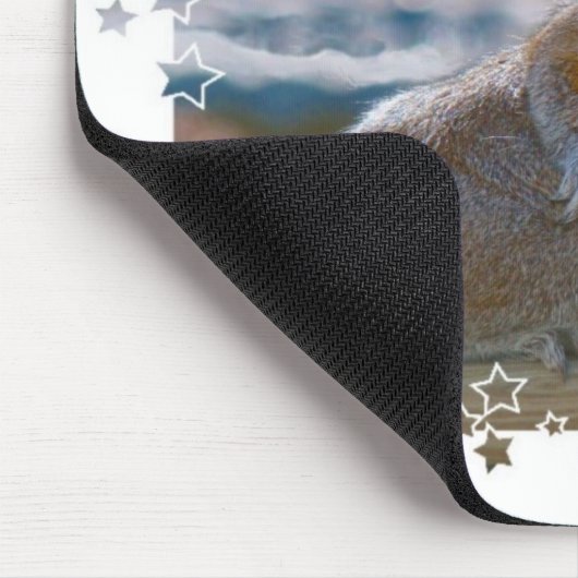 Heb je een houding? eekhoorn muismat (Hoek)