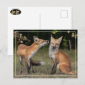 Heb je een mint? briefkaart (Voorkant / Achterkant)