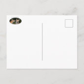 Heb je een mint? briefkaart (Achterkant)