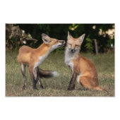 Heb je een mint? foto afdruk (Voorkant)