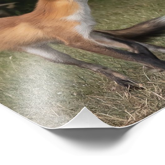 Heb je een mint? foto afdruk (Hoek)