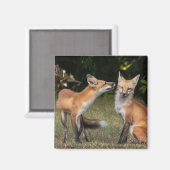 Heb je een mint? magneet (Voorkant / Achterkant)