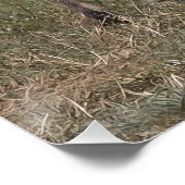 Heb je een mint? perfect poster (Hoek)