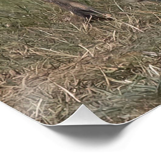 Heb je een mint? perfect poster (Hoek)