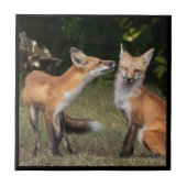 Heb je een mint? tegeltje (Voorkant)