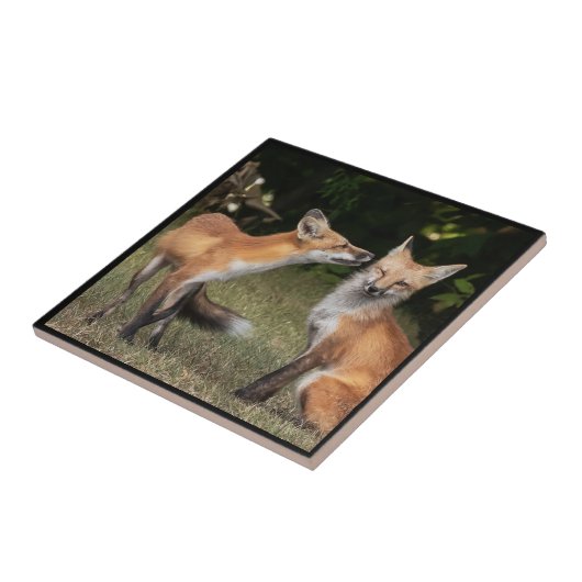 Heb je een mint? tegeltje (Zijkant)