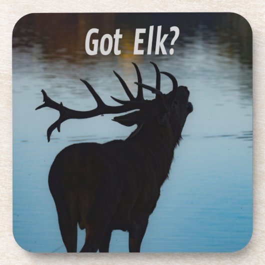 Heb je Elk? Funny Hunter Humor Bier Onderzetter (Voorkant)