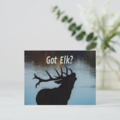 Heb je Elk? Funny Hunter Humor Briefkaart (Staand voorkant)