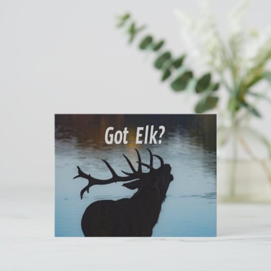 Heb je Elk? Funny Hunter Humor Briefkaart (Staand voorkant)
