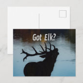 Heb je Elk? Funny Hunter Humor Briefkaart (Voorkant / Achterkant)