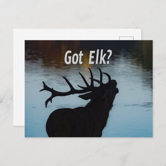 Heb je Elk? Funny Hunter Humor Briefkaart (Voorkant / Achterkant)
