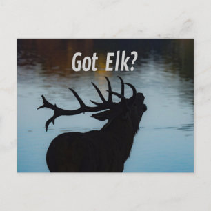 Heb je Elk? Funny Hunter Humor Briefkaart