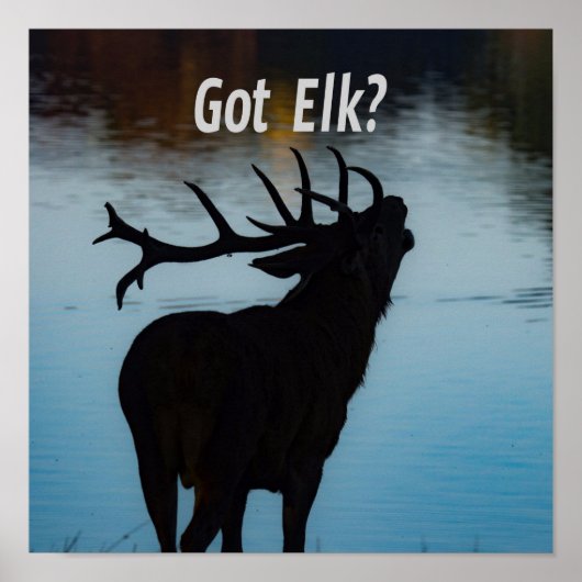 Heb je Elk? Funny Hunter Humor Poster (Voorkant)