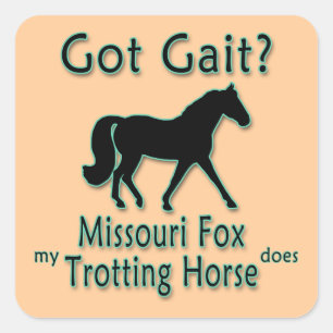 Heb je Gait? Mijn Missouri Fox Trotting Paard wel Vierkante Sticker
