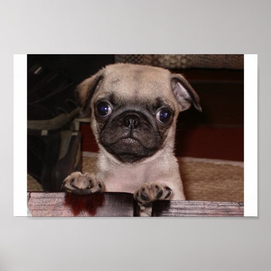 Heb je gebeld? poster (Voorkant)