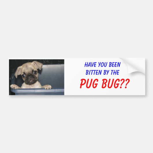 Heb je gebeten door de, PUG BUG? Bumpersticker (Voorkant)