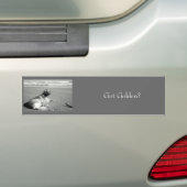 Heb je Golden? Bumpersticker (Op auto)
