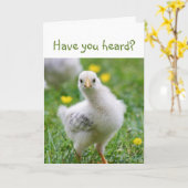 Heb je het gehoord? Aankondiging van Cute Chick (Gele Bloem)