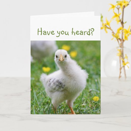 Heb je het gehoord? Aankondiging van Cute Chick (Gele Bloem)