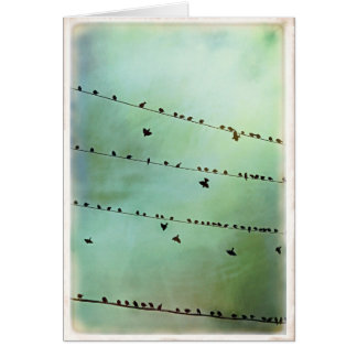 Heb je het gehoord? -Blank