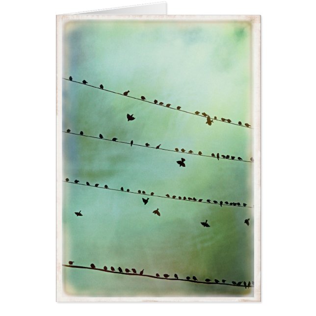 Heb je het gehoord? -Blank (Voorkant)