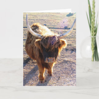 Heb je het over Bad Hair Day? Kaart