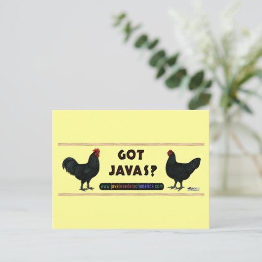 Heb je Javas? Briefkaart (Staand voorkant)