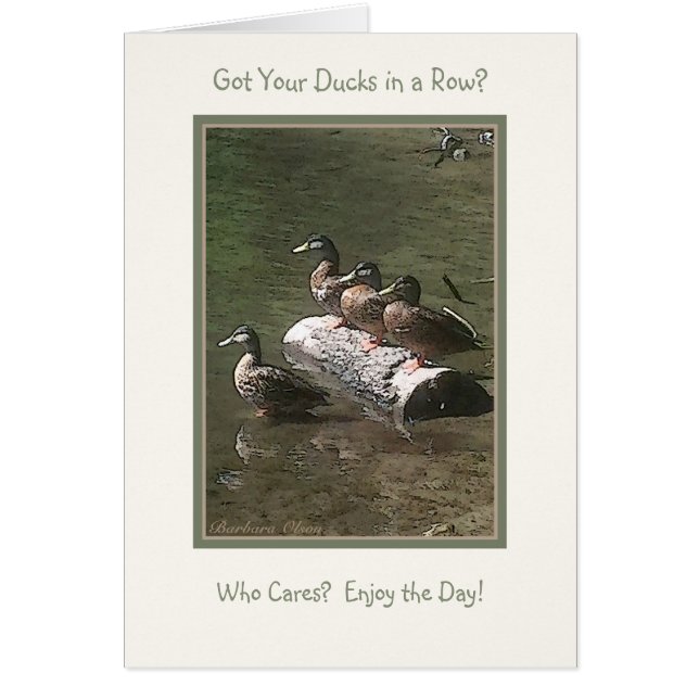 Heb je je eenden in een rij? (Voorkant)