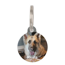 Heb je jezelf iets gegeven? huisdierpenning