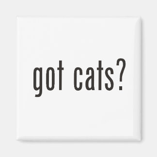 Heb je katten? magneet