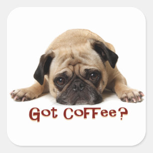 Heb je koffie? Pug Sticker