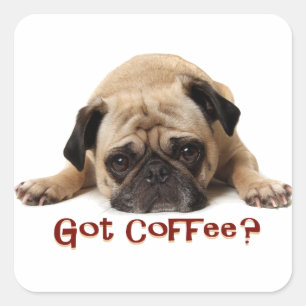 Heb je koffie? Pug Sticker