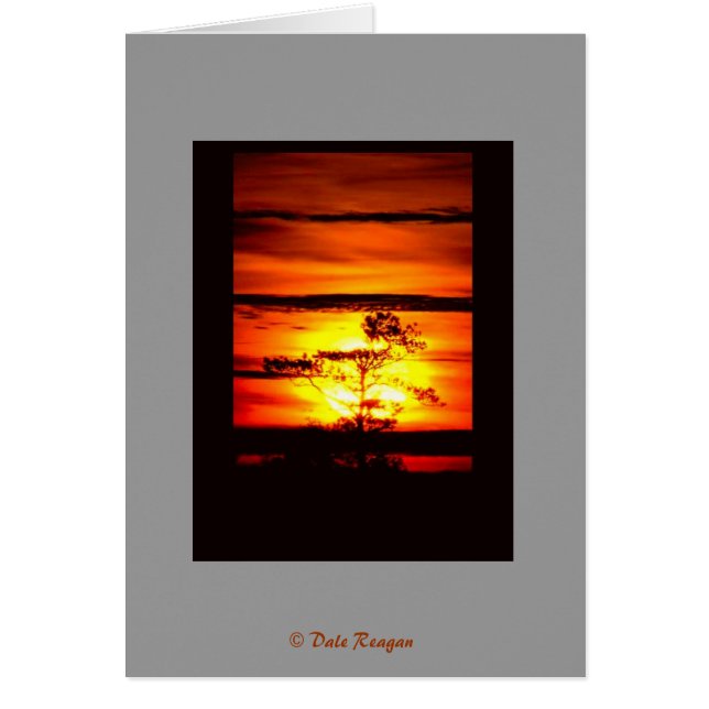 Heb je licht? (Voorkant)