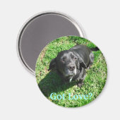 Heb je liefde? magneet (Voorkant / Achterkant)