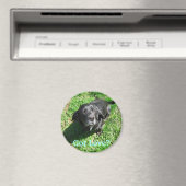 Heb je liefde? magneet (Insitu (Vaatwasser))