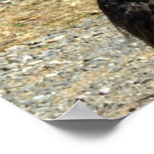 Heb je met mij gepraat? poster (Hoek)