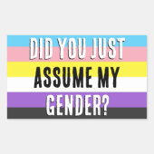 Heb je mijn geslacht aangenomen? rechthoekige sticker (Voorkant)