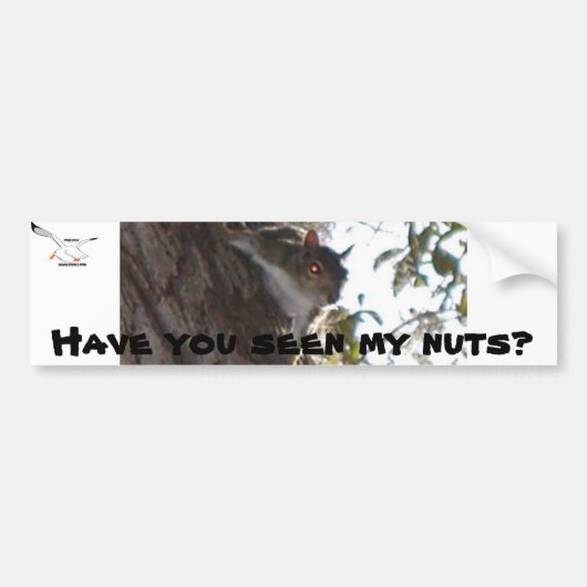 Heb je mijn noten gezien? bumpersticker (Voorkant)