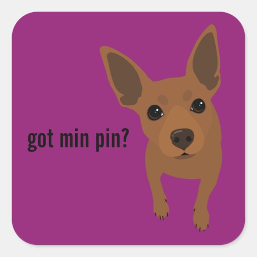 Heb je min. pin? Miniatuur Pinscher (rode) Sticker (Voorkant)