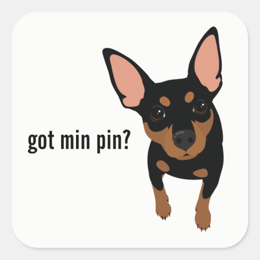 Heb je min. pin? Miniatuur Pinscher (Zwart) Sticke Vierkante Sticker (Voorkant)