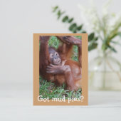 Heb je moddertaarten? briefkaart (Staand voorkant)