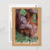 Heb je moddertaarten? briefkaart (Voorkant / Achterkant)